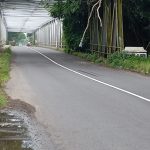 Batang Kayu Menggantung di Jembatan Ayam Putih, Potensi Bahaya di Jalan Raya