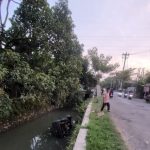 Mobil Masuk Sungai di Wonoyoso, Diduga Hindari Jalan Berlubang