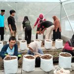 LPPNU Kebumen Bekali Petani Muda NU dengan Smart Farming